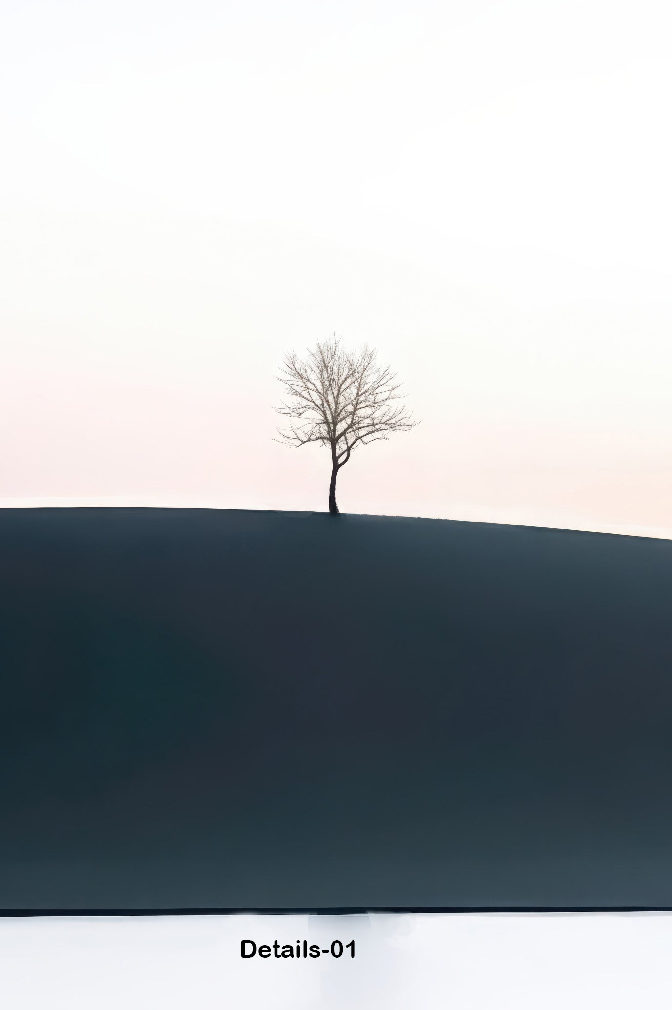 Arbre solitaire au crépuscule—Art mural, impression d'art, toile, impression acrylique, alu-dibond